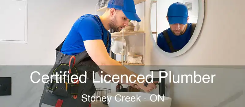 Certified Licenced Plumber Stoney Creek - ON