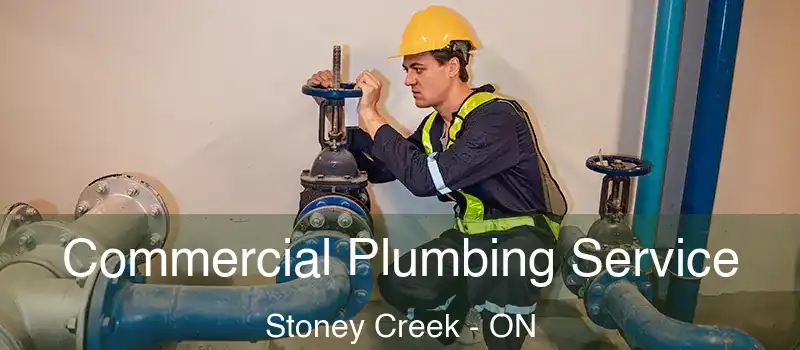  Commercial Plumbing Service Stoney Creek - ON
