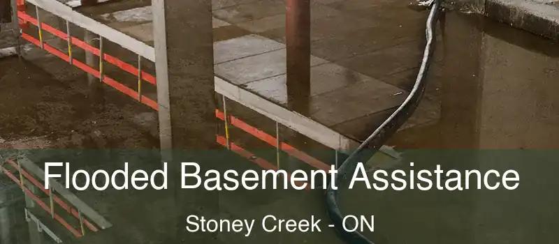 Flooded Basement Assistance Stoney Creek - ON