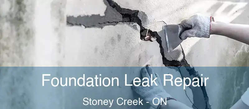 Foundation Leak Repair Stoney Creek - ON