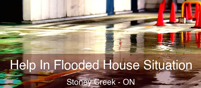 Help In Flooded House Situation Stoney Creek - ON
