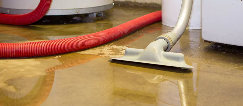 Professional Sewer Backup Cleanup Services in Stoney Creek, ON