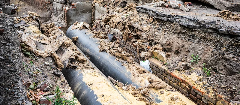 Commercial Sewer Tree Roots Damage Solutions in Stoney Creek, ON