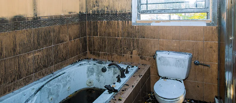 Residential Water Damage Restoration in Stoney Creek, ON