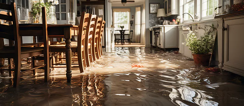 Flooded House Help Near Me in Stoney Creek, Ontario