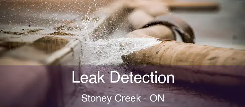 Leak Detection Stoney Creek - ON