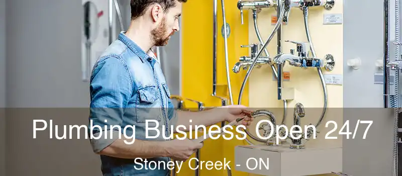 Plumbing Business Open 24/7 Stoney Creek - ON