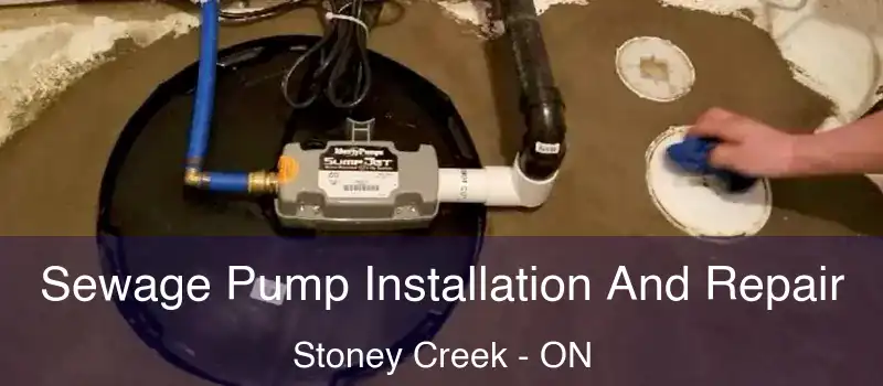 Sewage Pump Installation And Repair Stoney Creek - ON