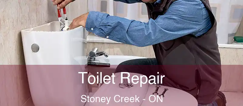 Toilet Repair Stoney Creek - ON