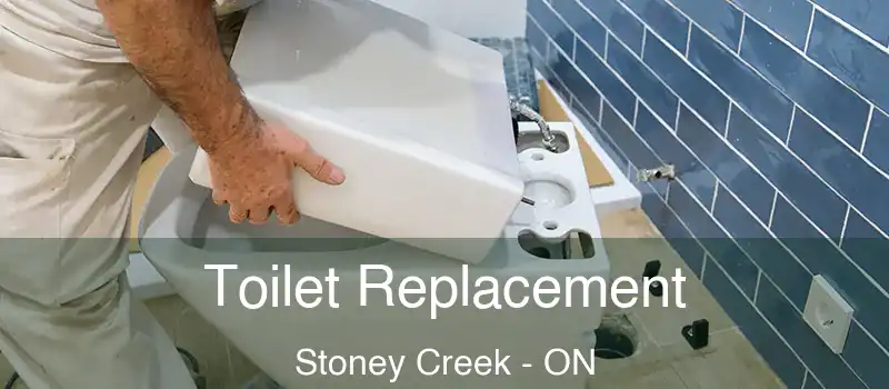 Toilet Replacement Stoney Creek - ON