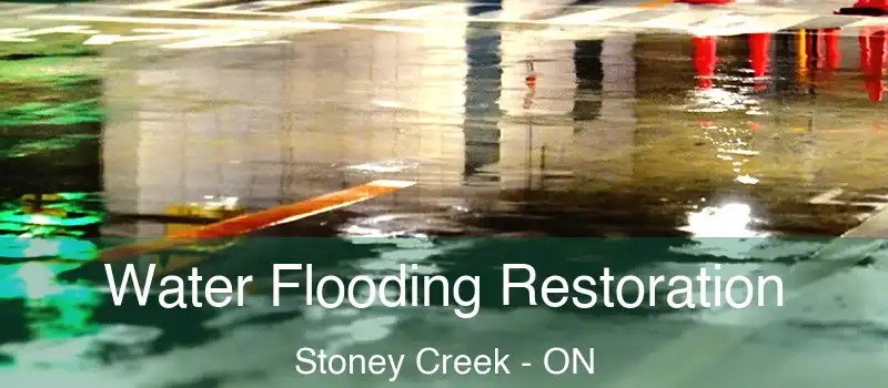 Water Flooding Restoration Stoney Creek - ON