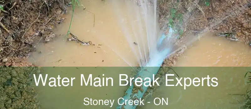 Water Main Break Experts Stoney Creek - ON