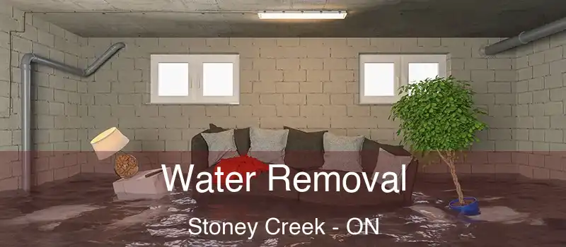 Water Removal Stoney Creek - ON