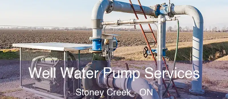 Well Water Pump Services Stoney Creek - ON